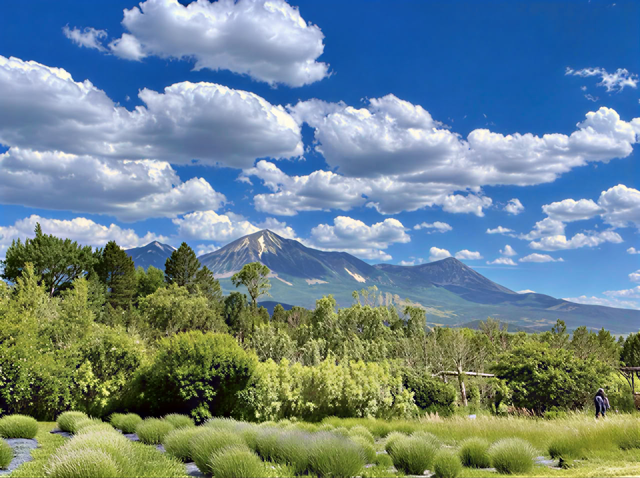 Ritiro Breathwork Colorado