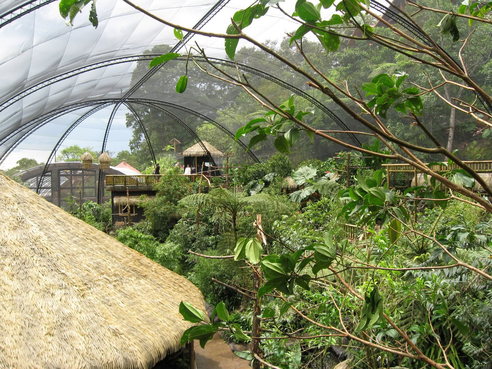Combo Tour: Parco Nazionale del Vulcano Poás – Tour del Caffè Doka – Giardini della Cascata La Paz