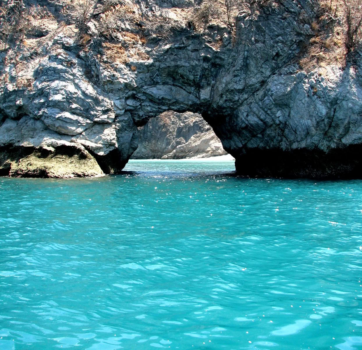 Crociera di Calypso verso l'Isola di Tortuga