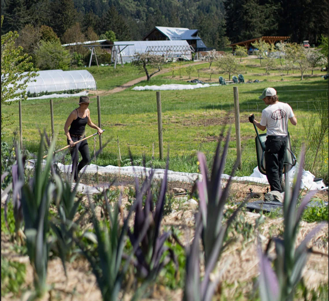 Preparare il Giardino per la Prossima Stagione — Stowel Lake Farm