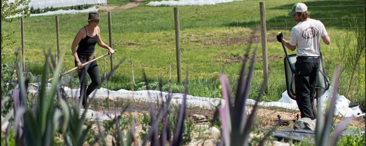 Preparare il Giardino per la Prossima Stagione — Stowel Lake Farm