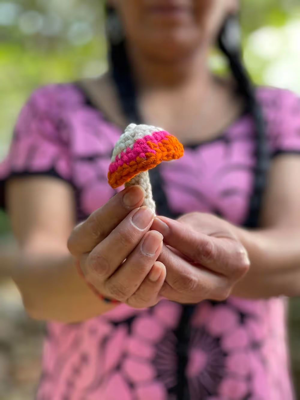 Ritiro di 4 giorni con Bufo e funghi psilocibinici