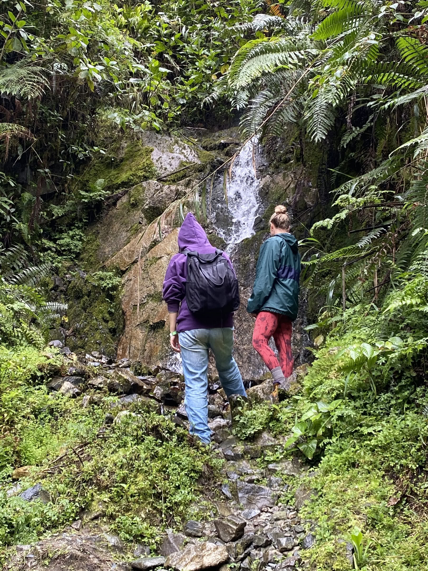 Ritiro di Ayahuasca per Donne