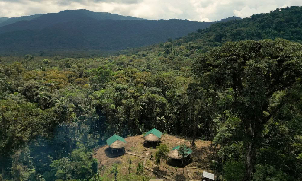 Ritiro di Iniziazione all’Ayahuasca: 7 e 14 Giorni – 10-31 Gennaio 2027