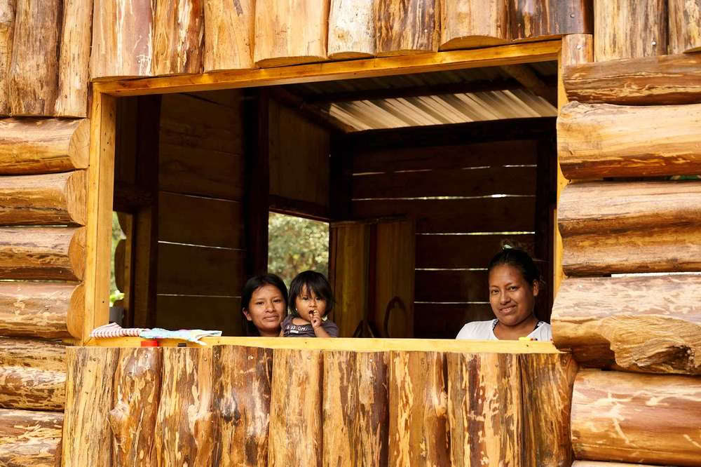 Ritiro di Iniziazione all'Ayahuasca: 7 e 14 giorni – 3-24 febbraio 2027