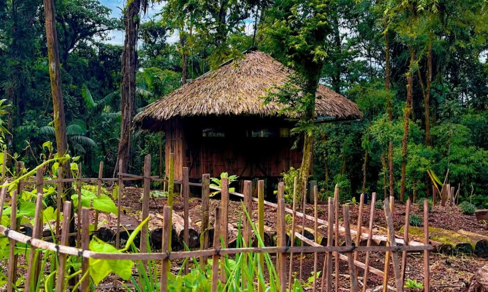 Ritiro di Iniziazione all'Ayahuasca: 7 e 14 giorni – 3-24 febbraio 2027