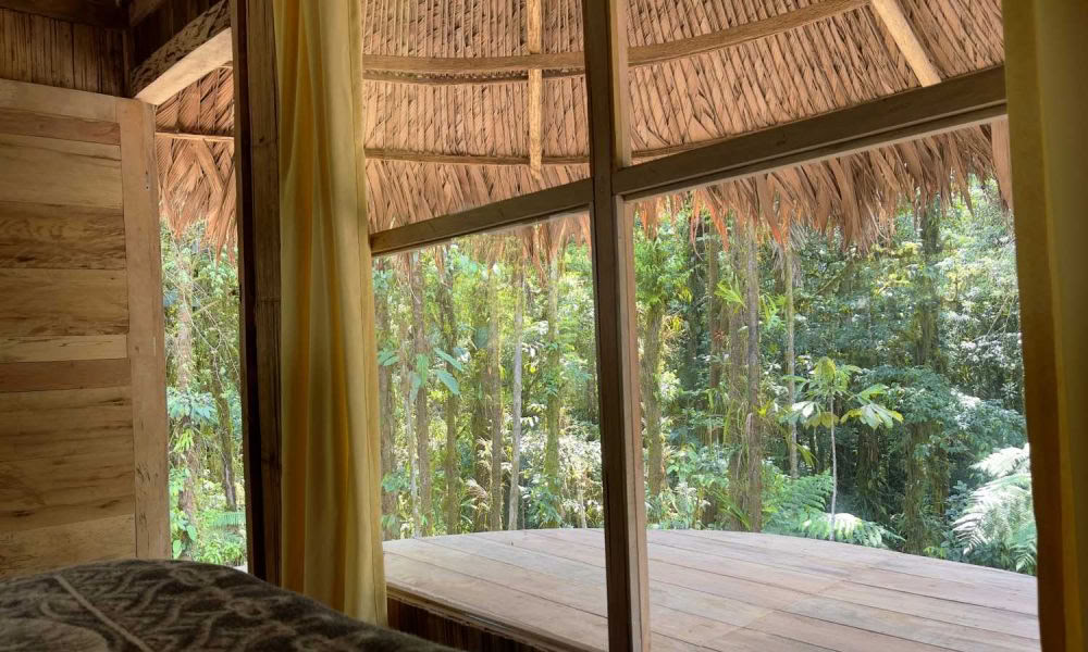 Ritiro di Iniziazione all'Ayahuasca: 7 e 14 giorni – 3-24 febbraio 2027