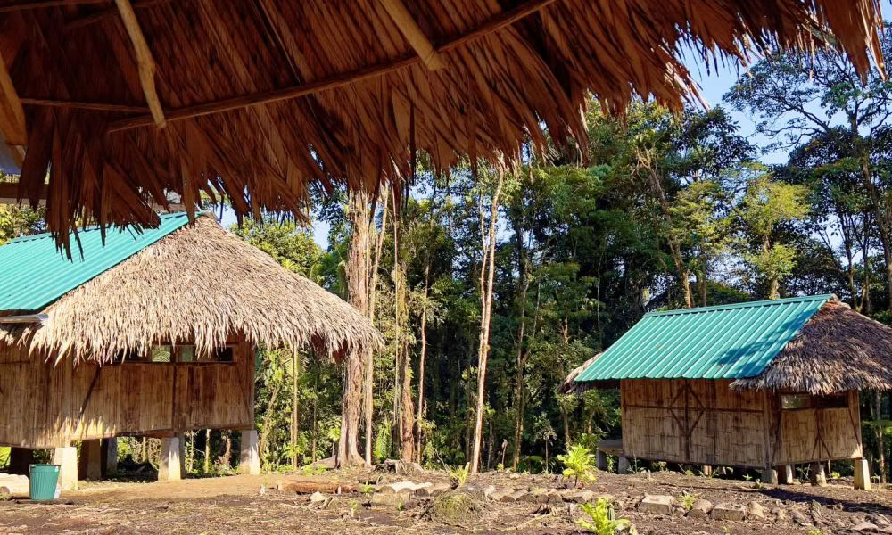 Ritiro di Iniziazione all'Ayahuasca: 7 e 14 giorni – 3-24 febbraio 2027