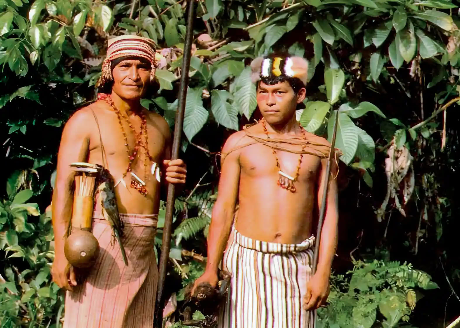Ritiro di Iniziazione all'Ayahuasca: 7 e 14 giorni – 3-24 febbraio 2027