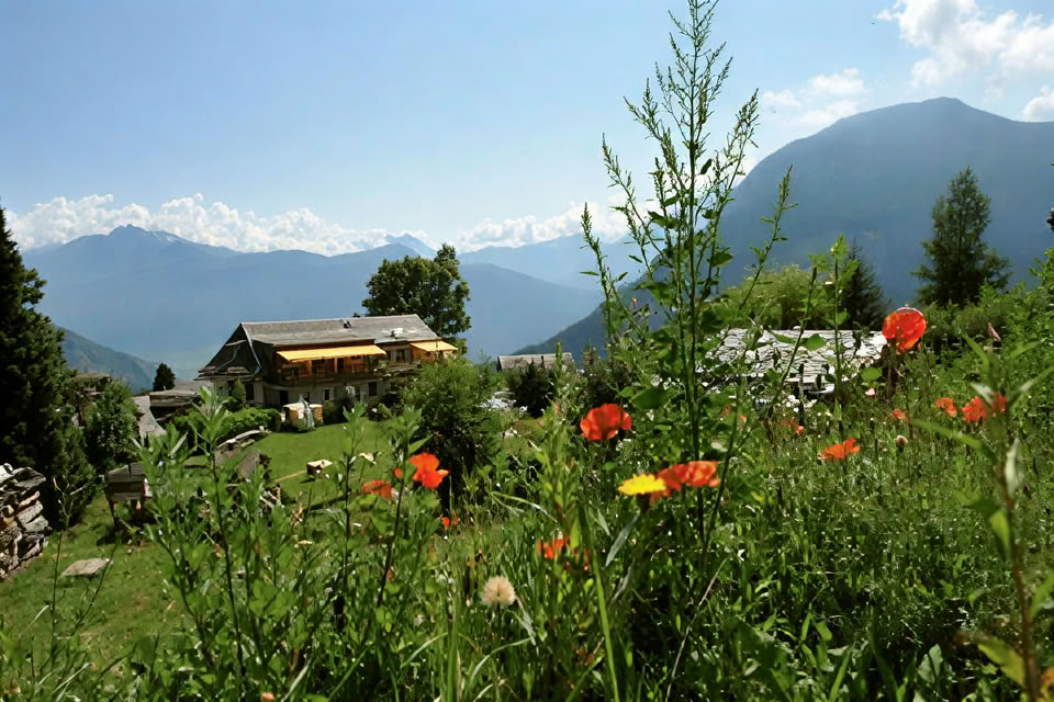 Qigong Vacanze autunnali 2026 ; Martin Brodmann