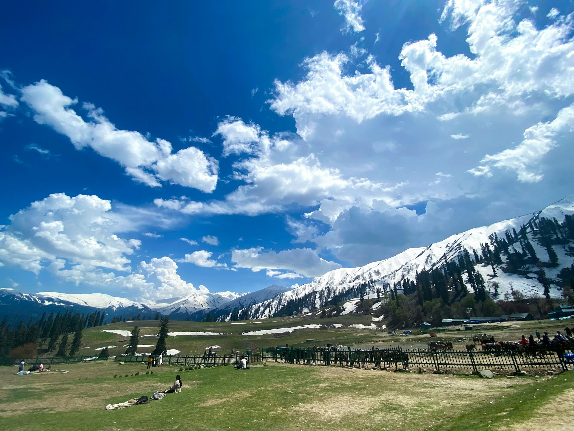 Classic Kashmir Escape: Houseboat, Prati & Paesaggi Glaciali