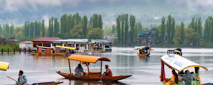 Meadows of Gold: Srinagar a Sonmarg Escursione Alpina