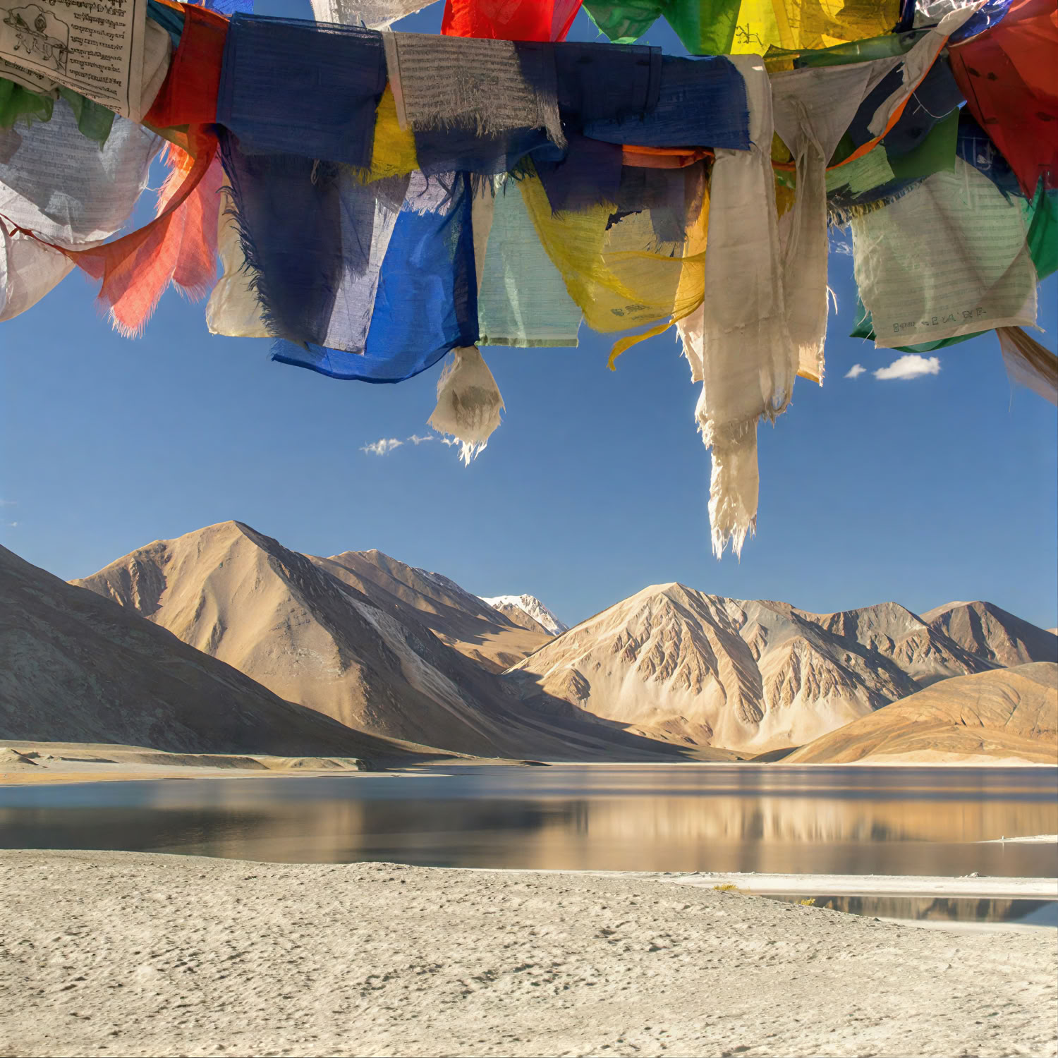 Da Paradise all’Altopiano: viaggio su strada da Kashmir a Ladakh