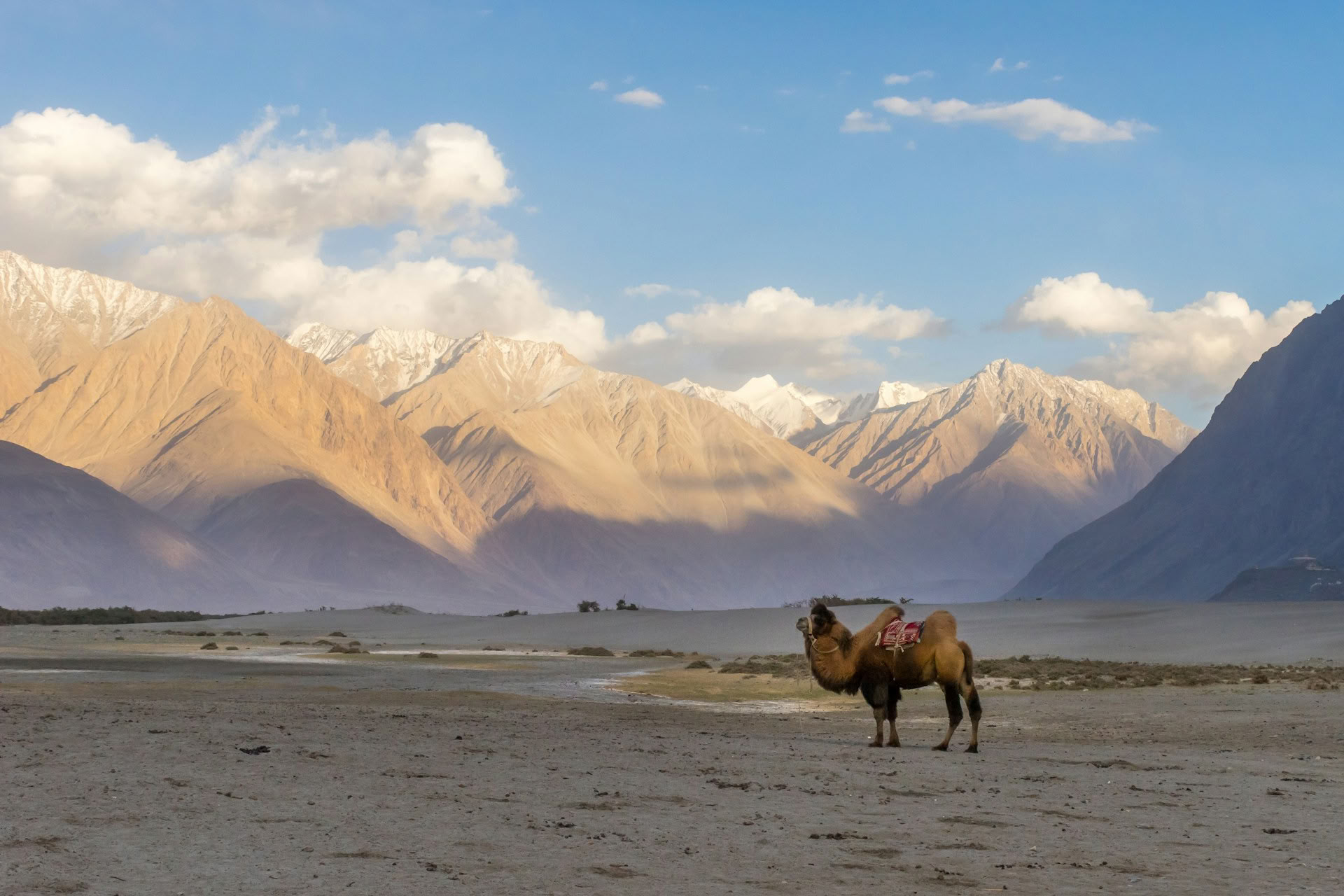 Da Paradise all’Altopiano: viaggio su strada da Kashmir a Ladakh