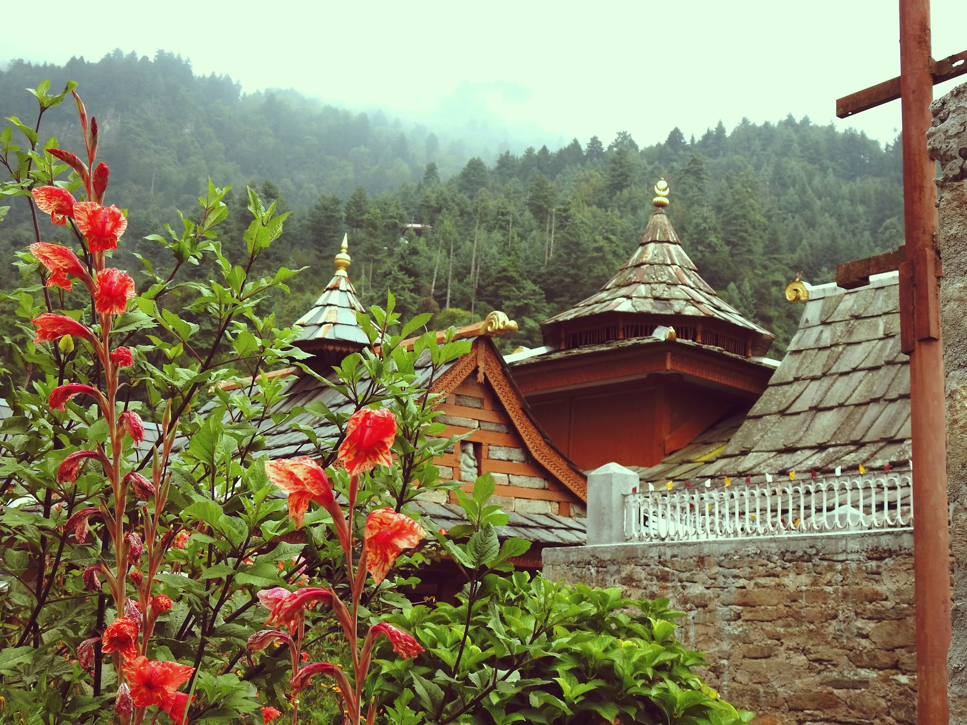Da frutteti a valli alpine: viaggio himalayano di Thanedar e Sangla