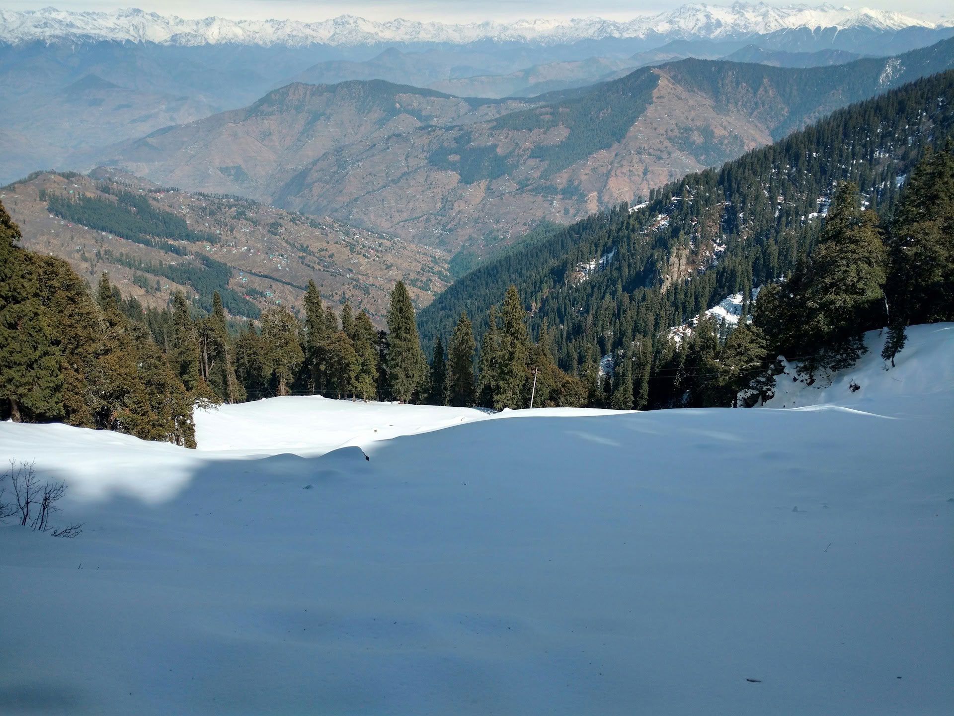 Da frutteti a sentieri forestali: Thanedar, Sojha e fuga himalayana lenta nel Tirthan