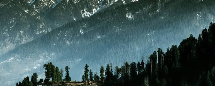 Da frutteti a sentieri forestali: Thanedar, Sojha e fuga himalayana lenta nel Tirthan