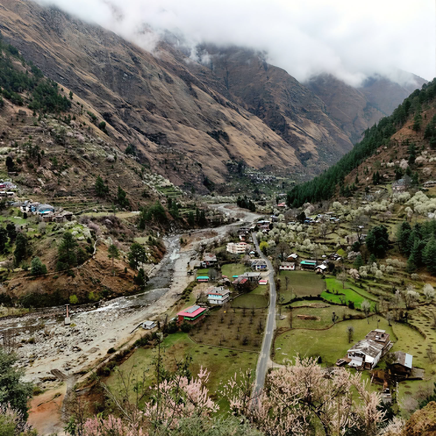 Sentieri nel bosco verso borgate nascoste: Sojha, Tirthan e Sonaugi Ritiro himalayano