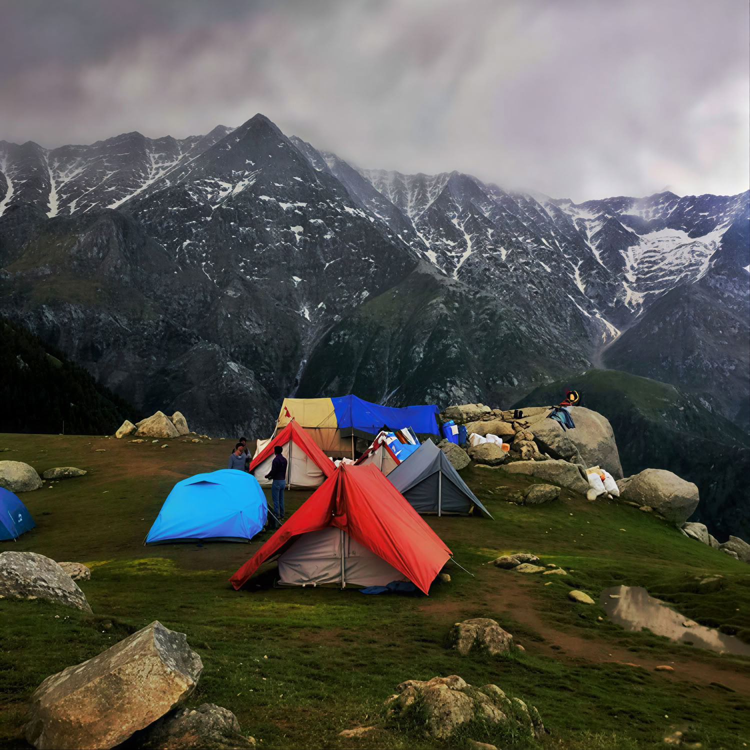 Monasteri, Sentieri del Tè e Viste sul Cielo: Dharamshala, Palampur e Fuga a Bir