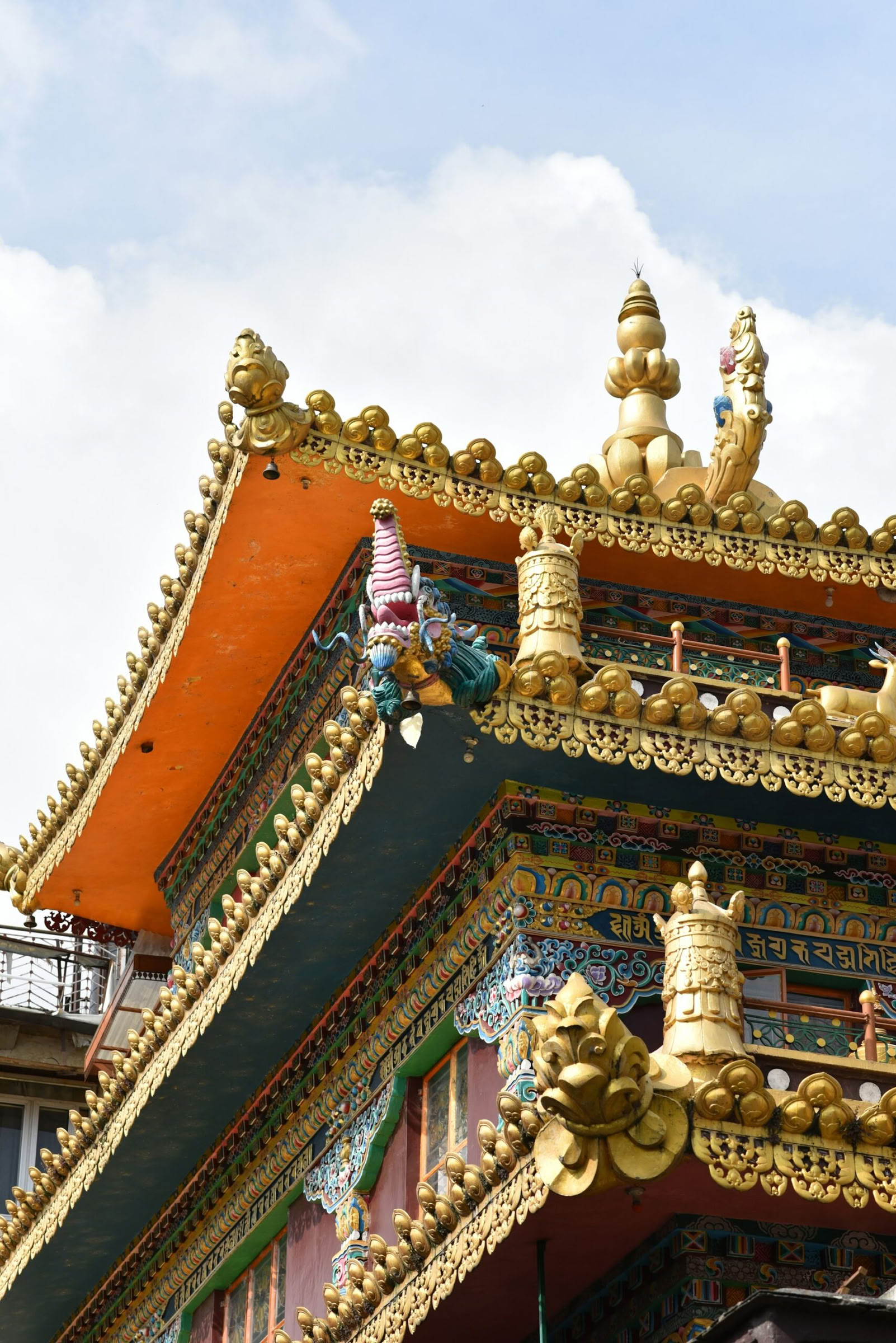 Monasteri, Sentieri del Tè e Viste sul Cielo: Dharamshala, Palampur e Fuga a Bir
