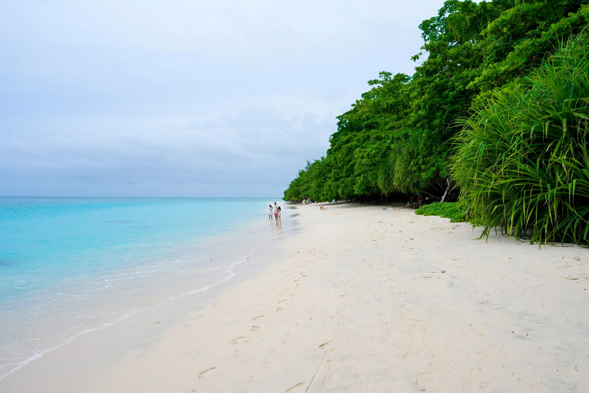 Azure Andaman Escape: Port Blair & Havelock Ritiro