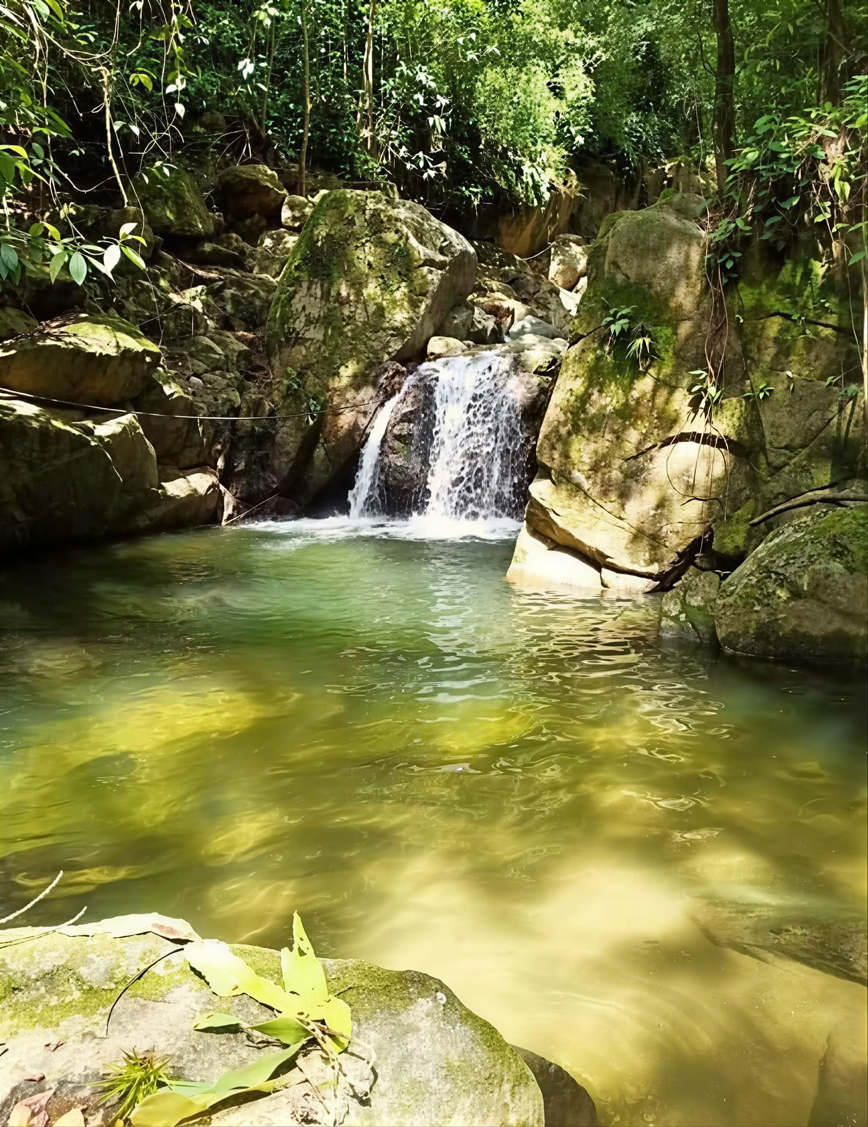 Ritiro Sacro di Ayahuasca a Santa Marta, Colombia