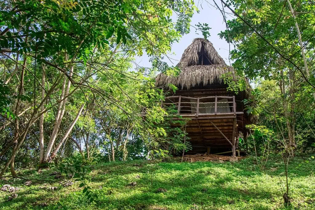 Ritiro Sacro di Ayahuasca a Santa Marta, Colombia