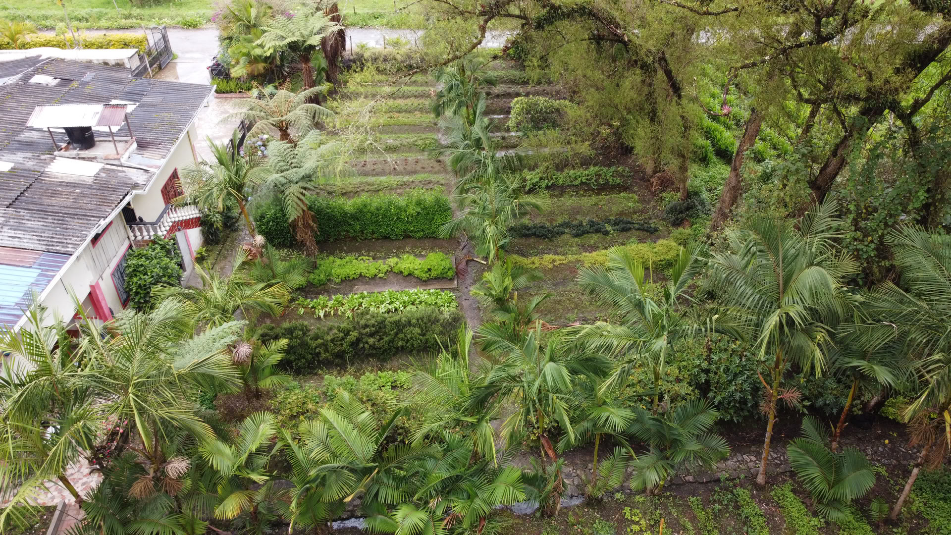 Ritiro Sacro di Ayahuasca a Santa Marta, Colombia
