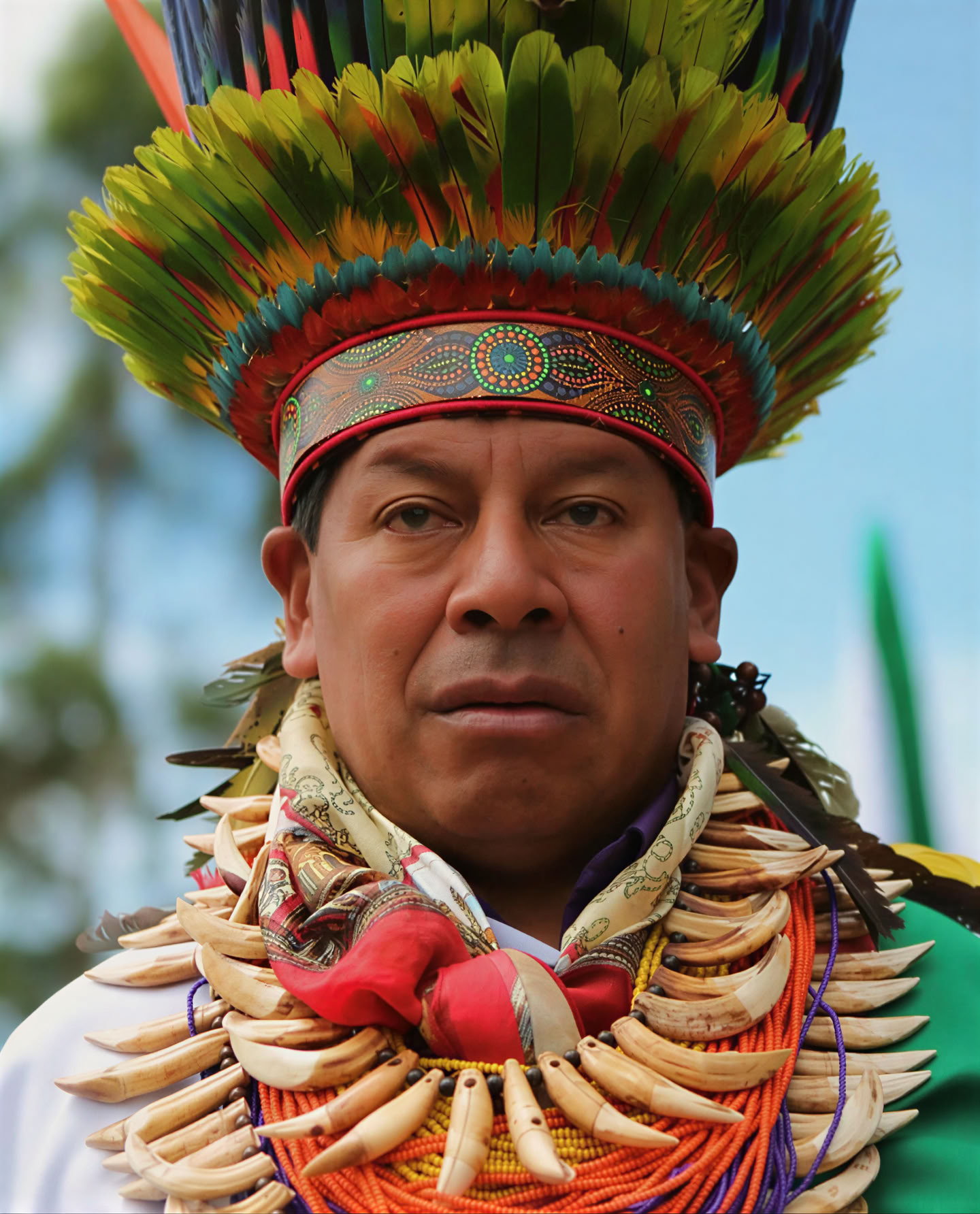 Ritiro Sacro di Ayahuasca a Santa Marta, Colombia