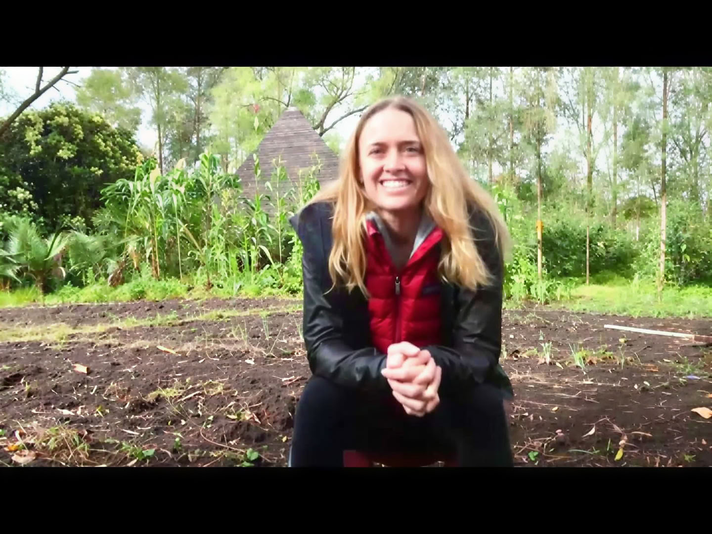 Ritiro di Ayahuasca