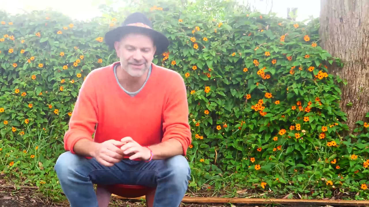 Ritiro di Ayahuasca