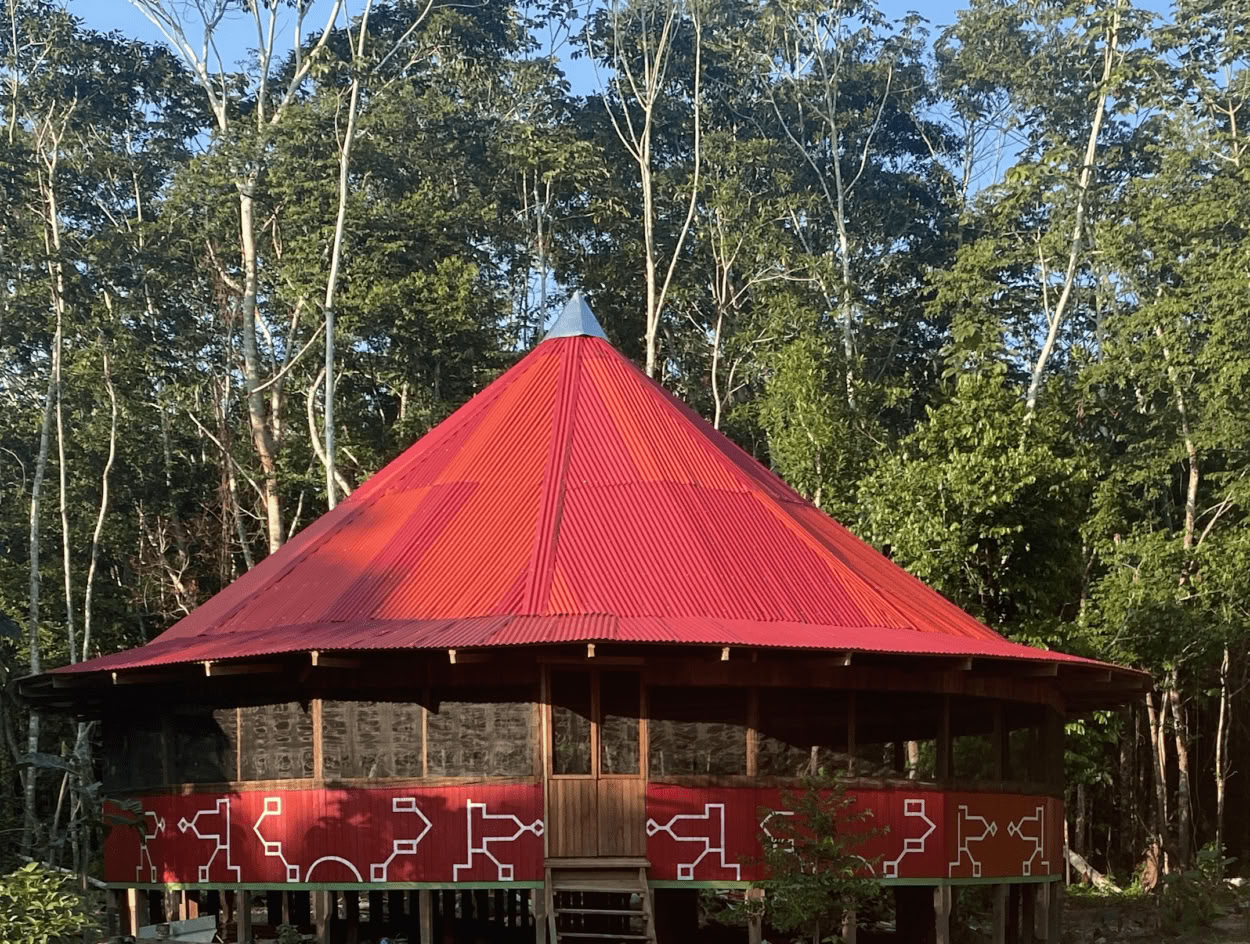 Cerimonia rituale di Ayahuasca
