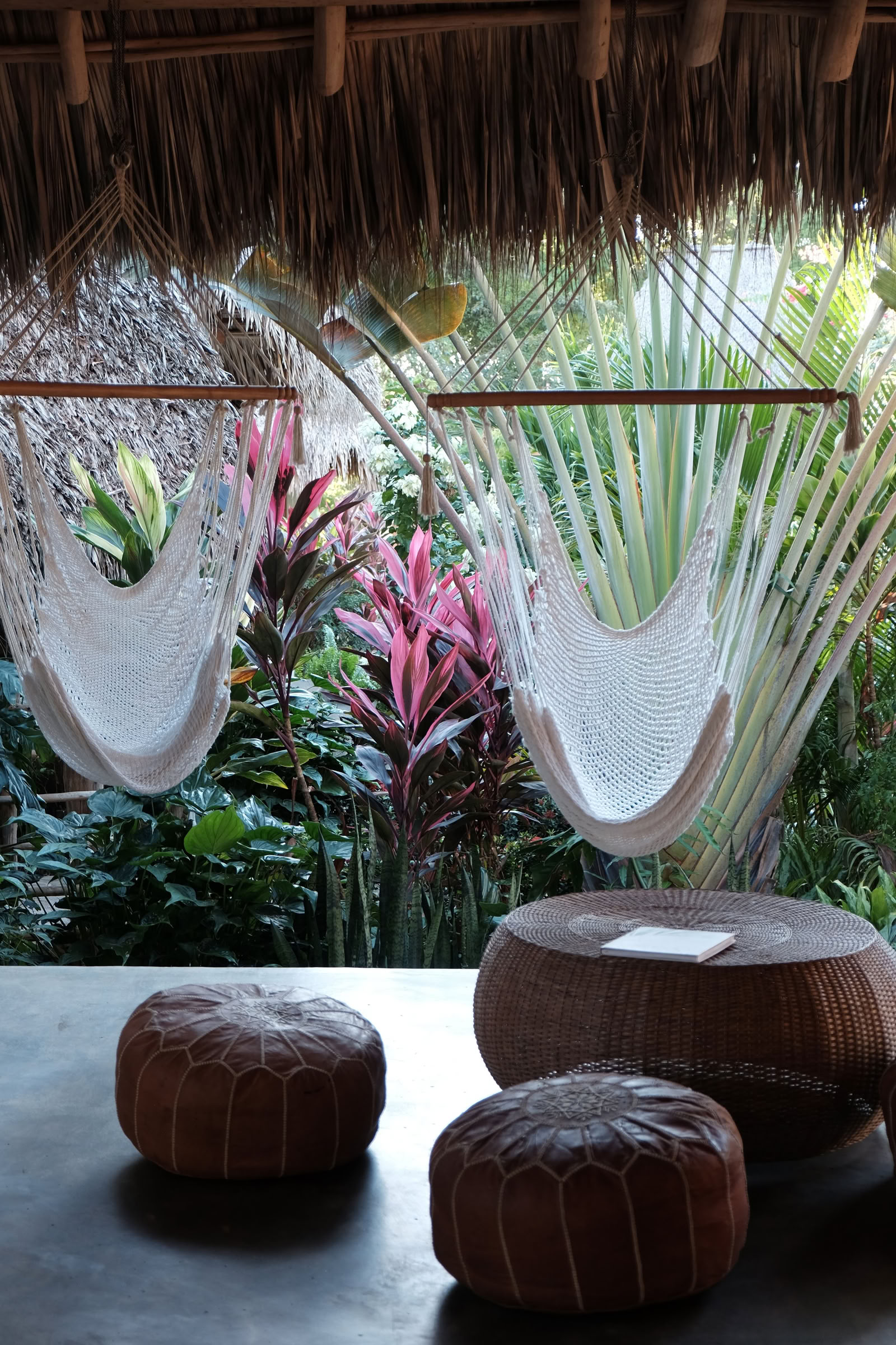 Ritiro di Yoga in Nicaragua Selvaggia