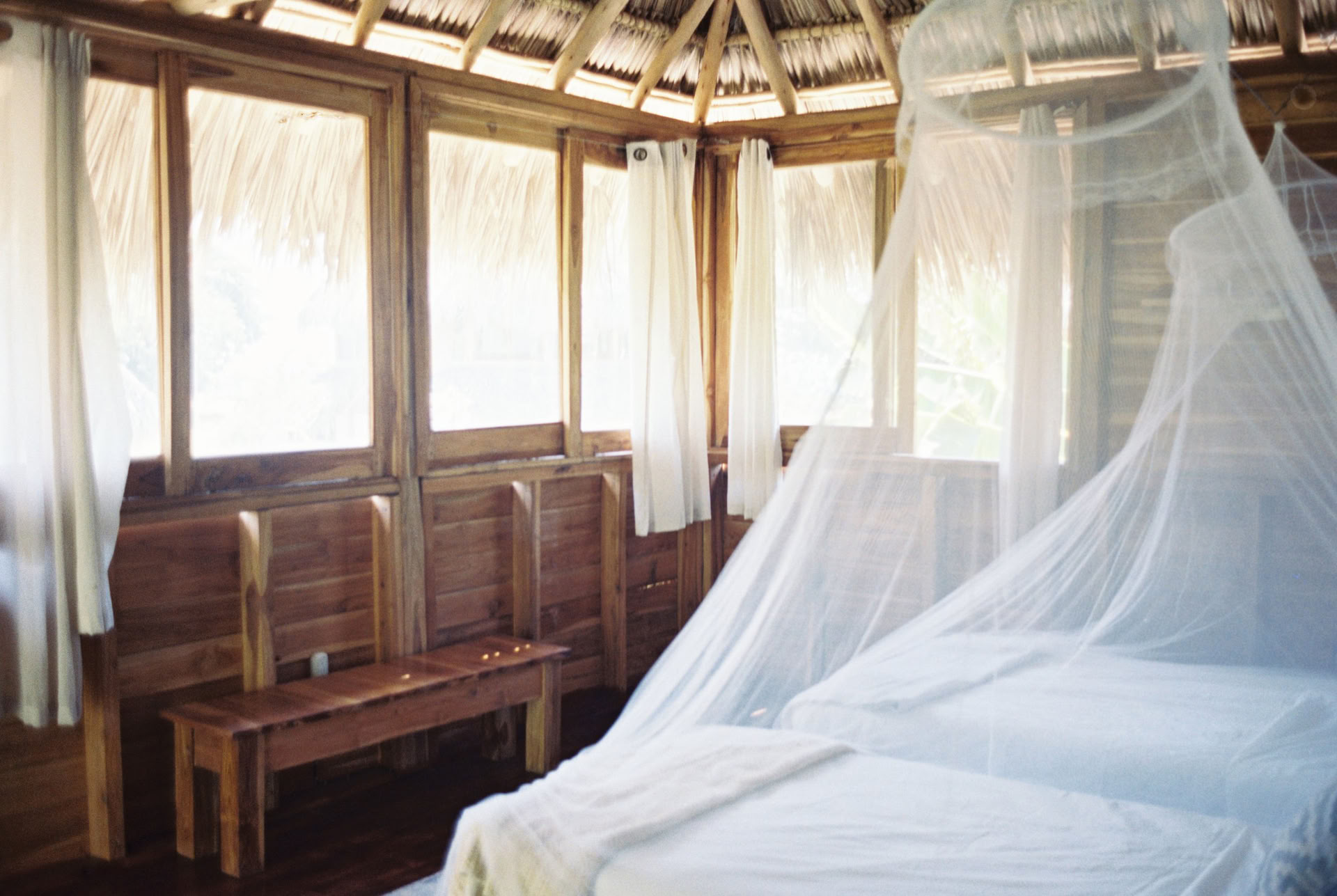 Ritiro di Yoga in Nicaragua Selvaggia