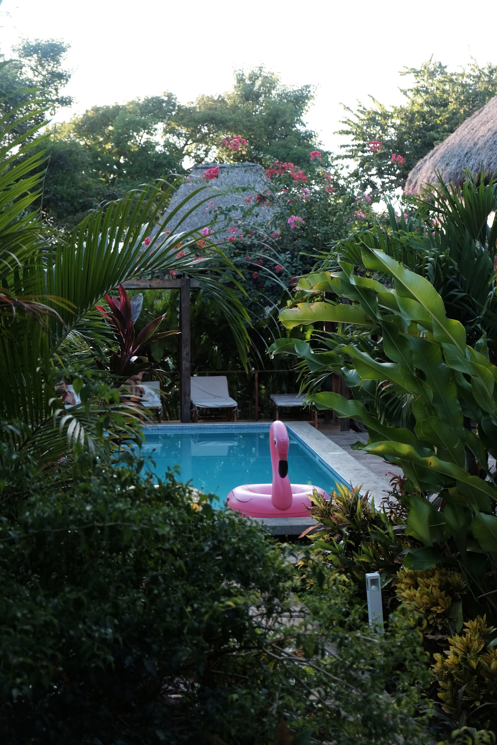 Ritiro di Yoga in Nicaragua Selvaggia