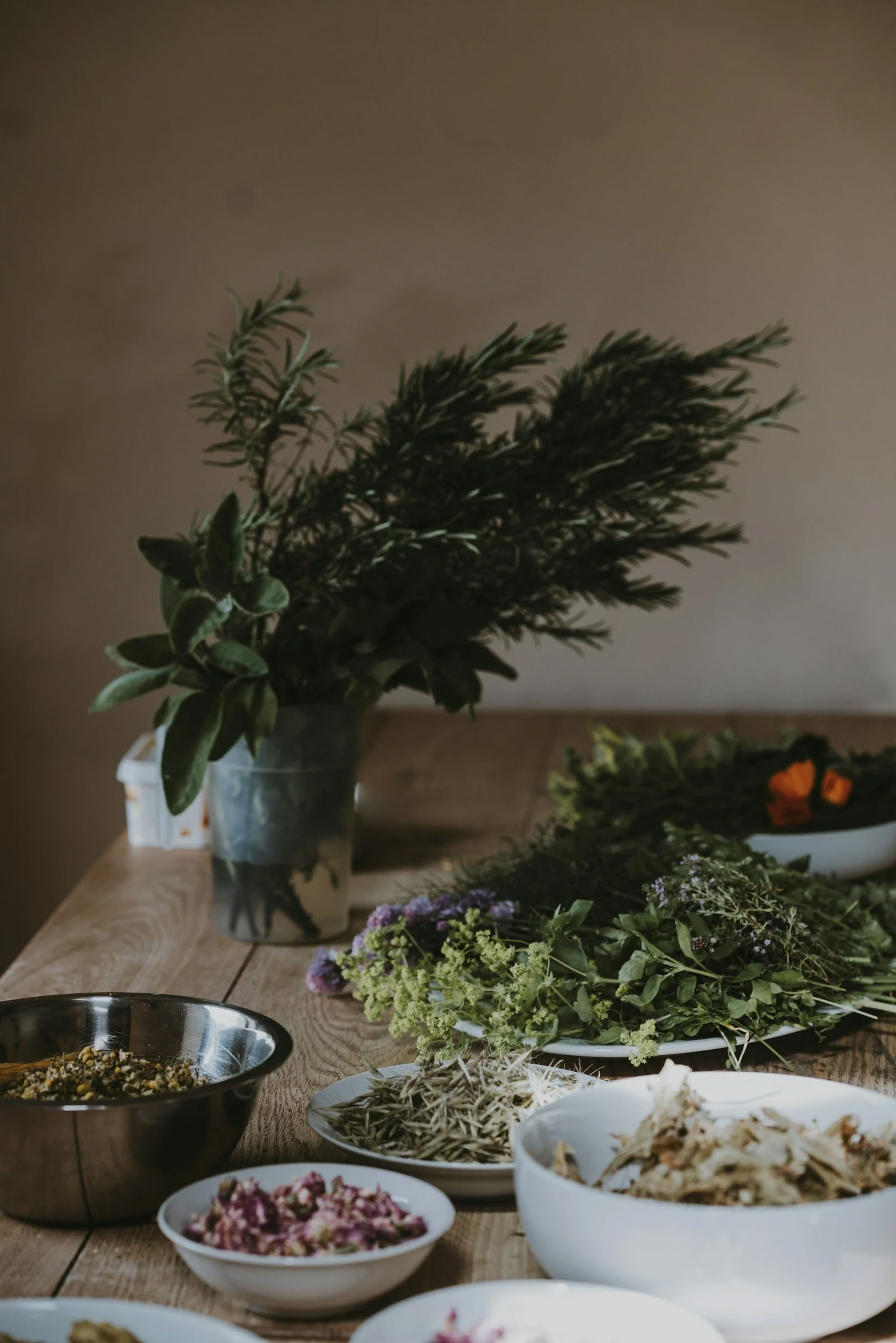 Ritiro di Ayurveda Vivente