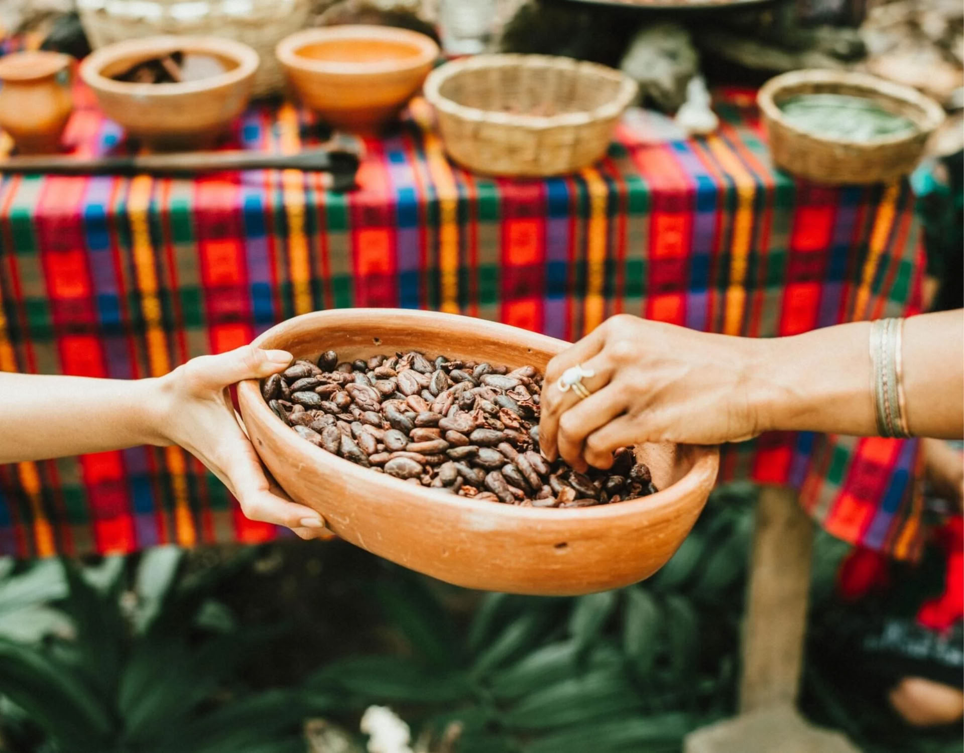 Formazione Cacao Source