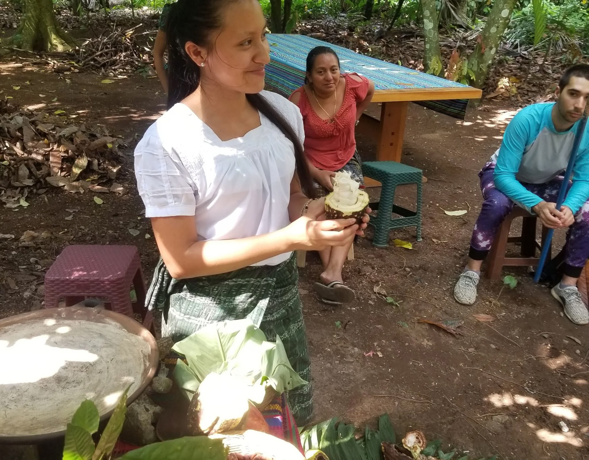 Formazione Cacao Source