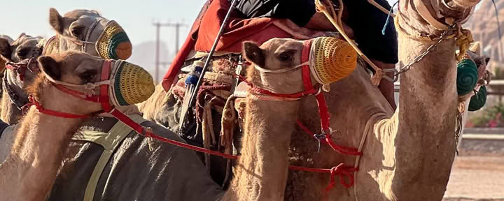 Avventura nel deserto a Wadi Rum, Giordania