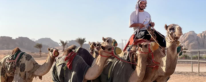 4 Giorni di Avventura in Trekking in Cammello con i Beduini nel Wadi Rum, Giordania