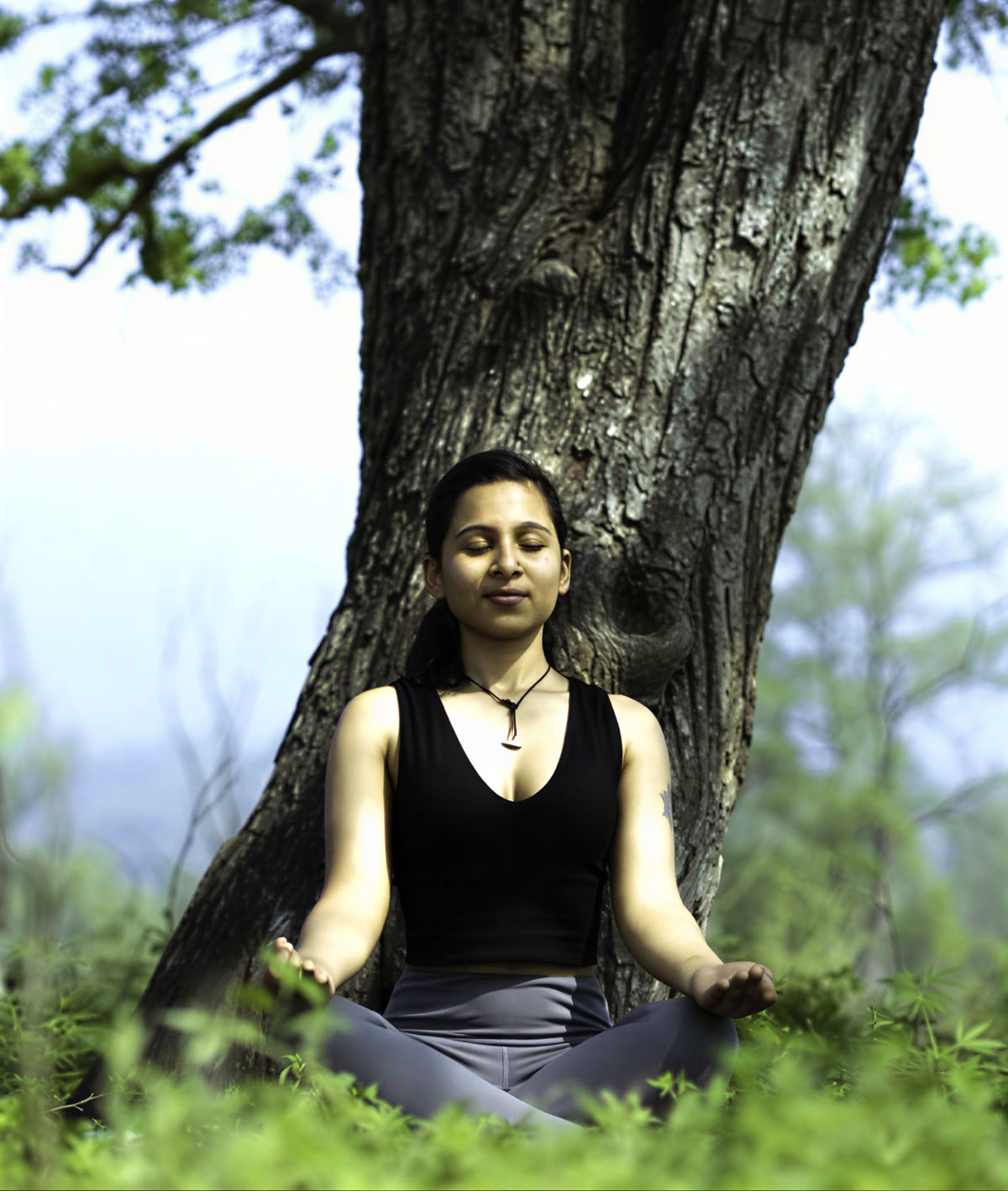 100 Ore Traditional Yoga TTC