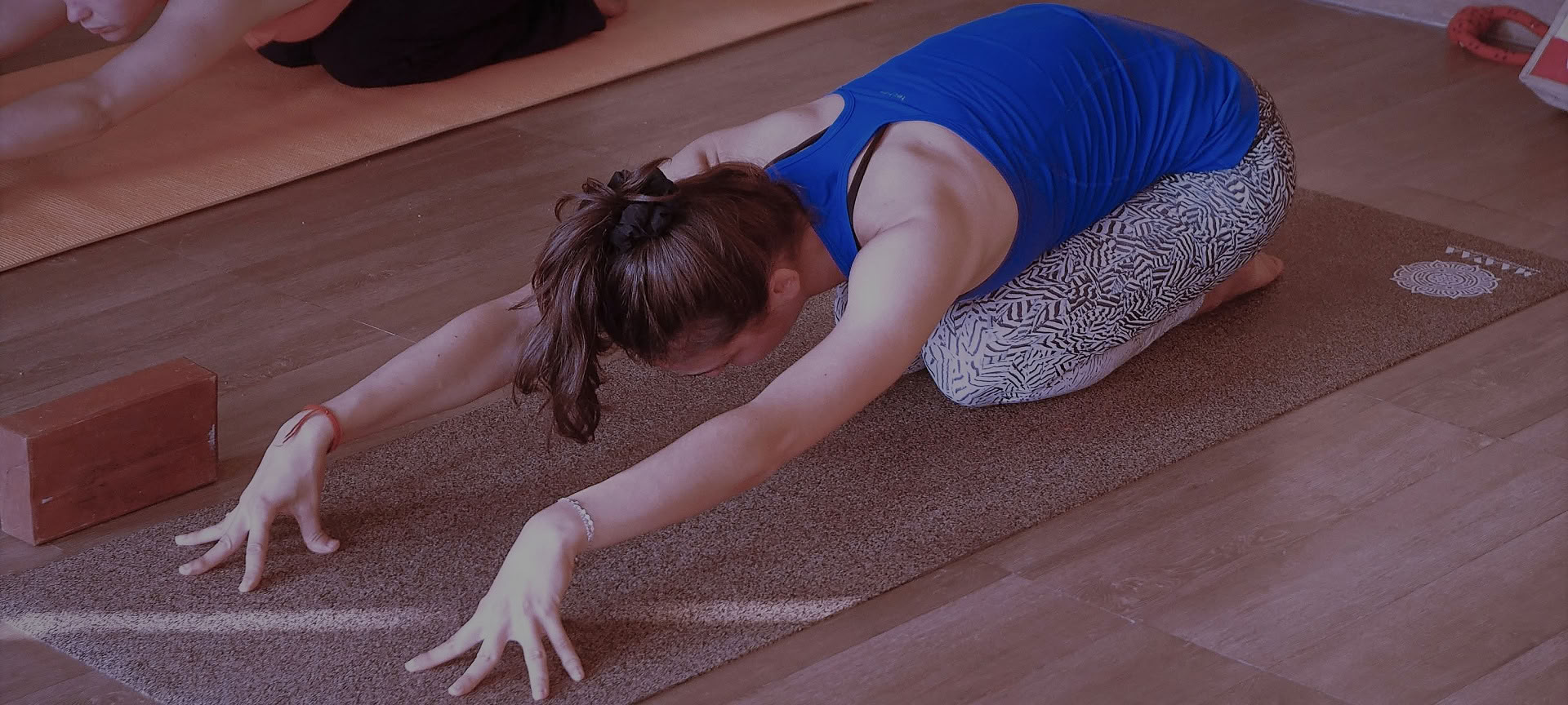 300 Ore Traditional Yoga TTC