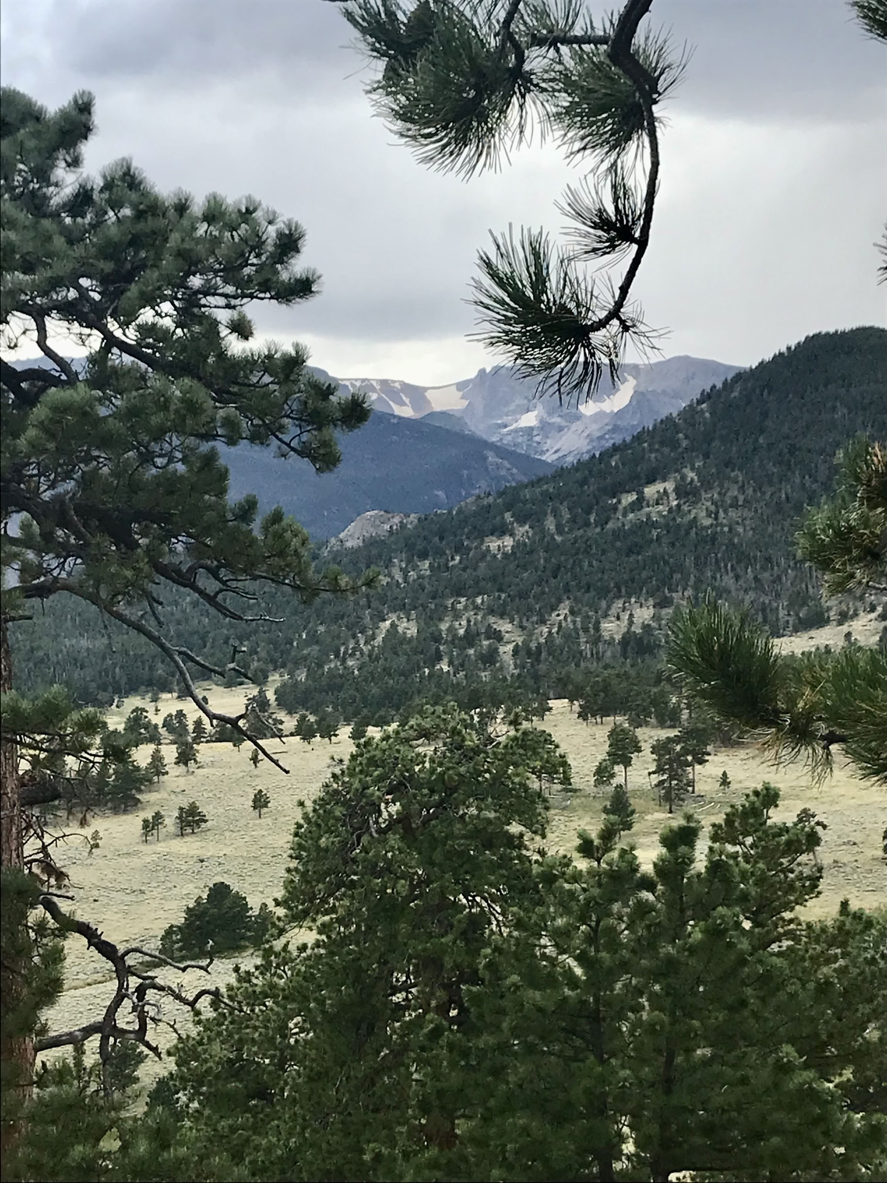 Rocky Mountain Ritiro - 5 Giorni