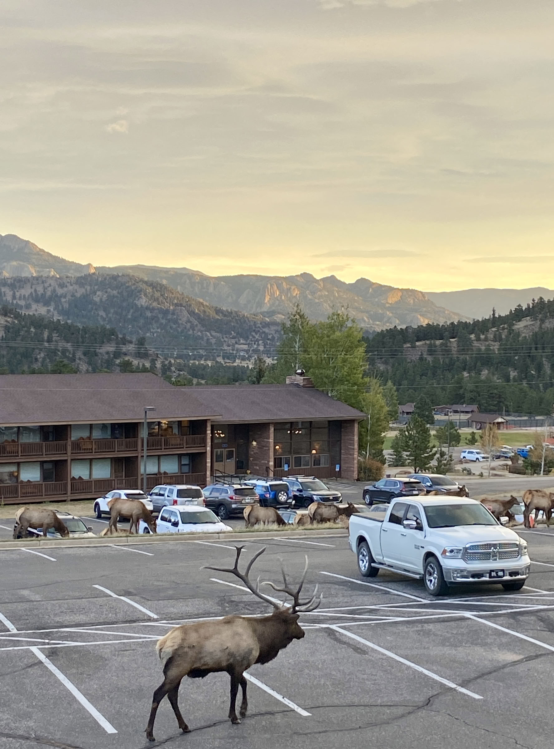 Rocky Mountain Ritiro - 5 Giorni