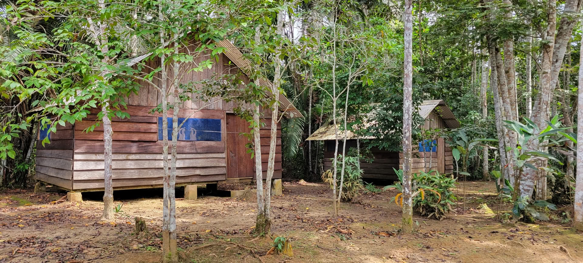 Ritiro di Ayahuasca Iquitos
