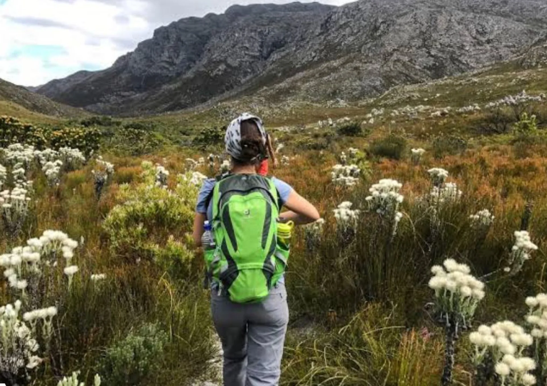 La Passeggiata tra i Fiori Selvatici