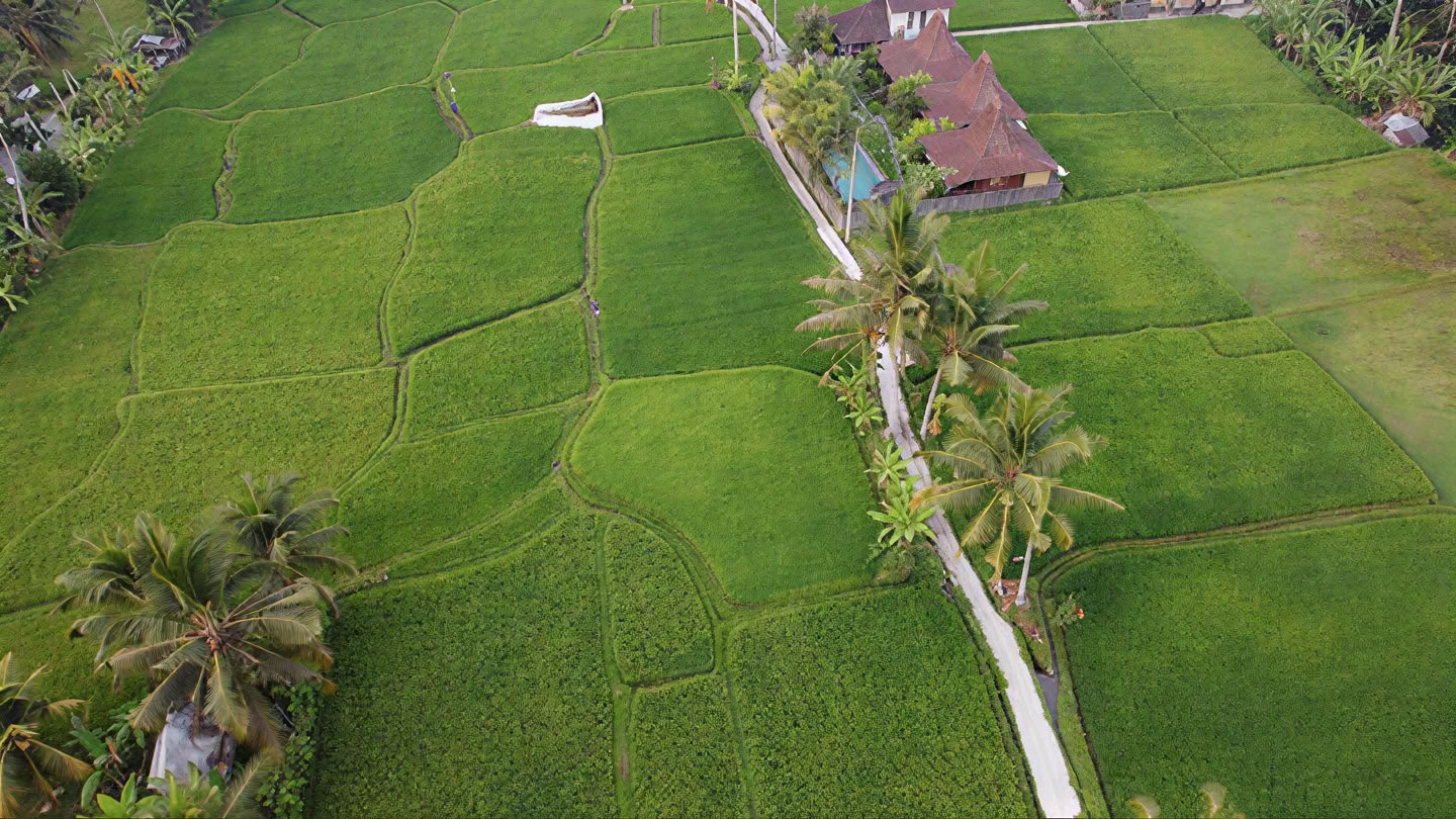 La tua settimana in un ritiro yoga a Bali