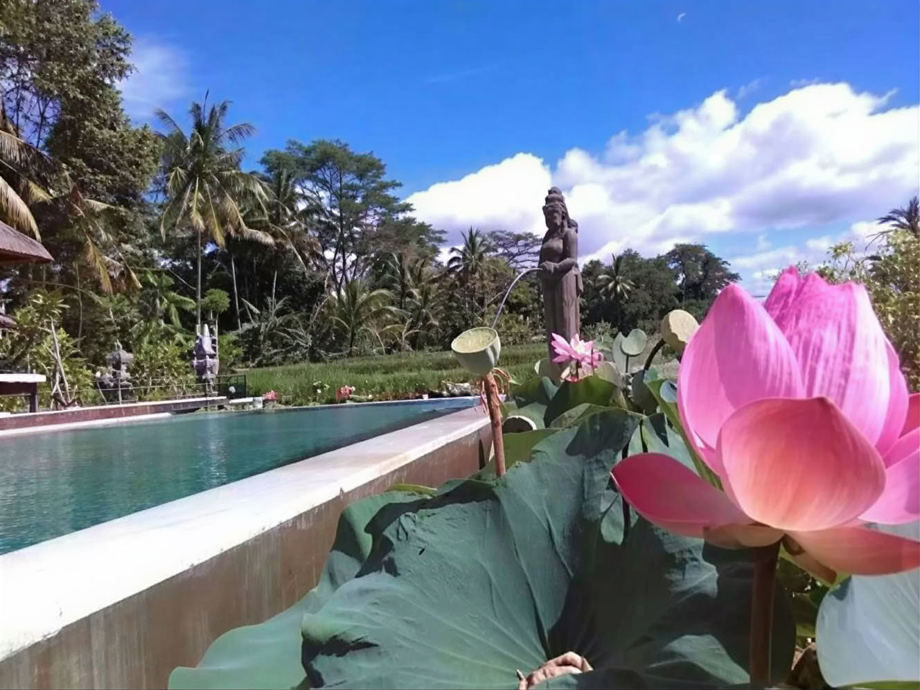 La tua settimana in un ritiro yoga a Bali