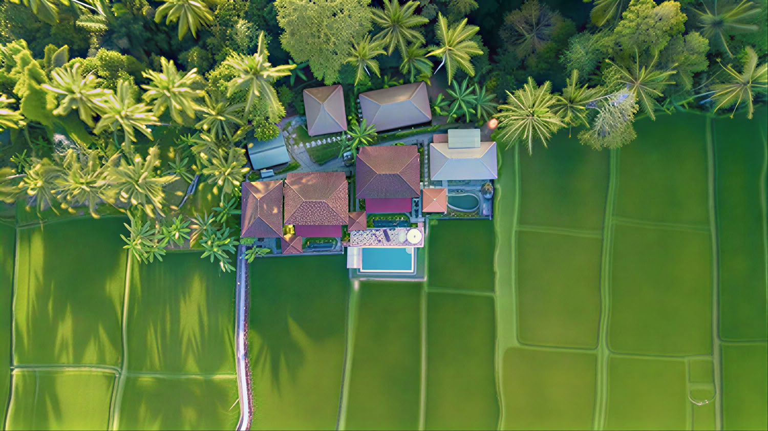 Unforgettable 7-Day Yoga Ritiro in Firefly Retreat Bali