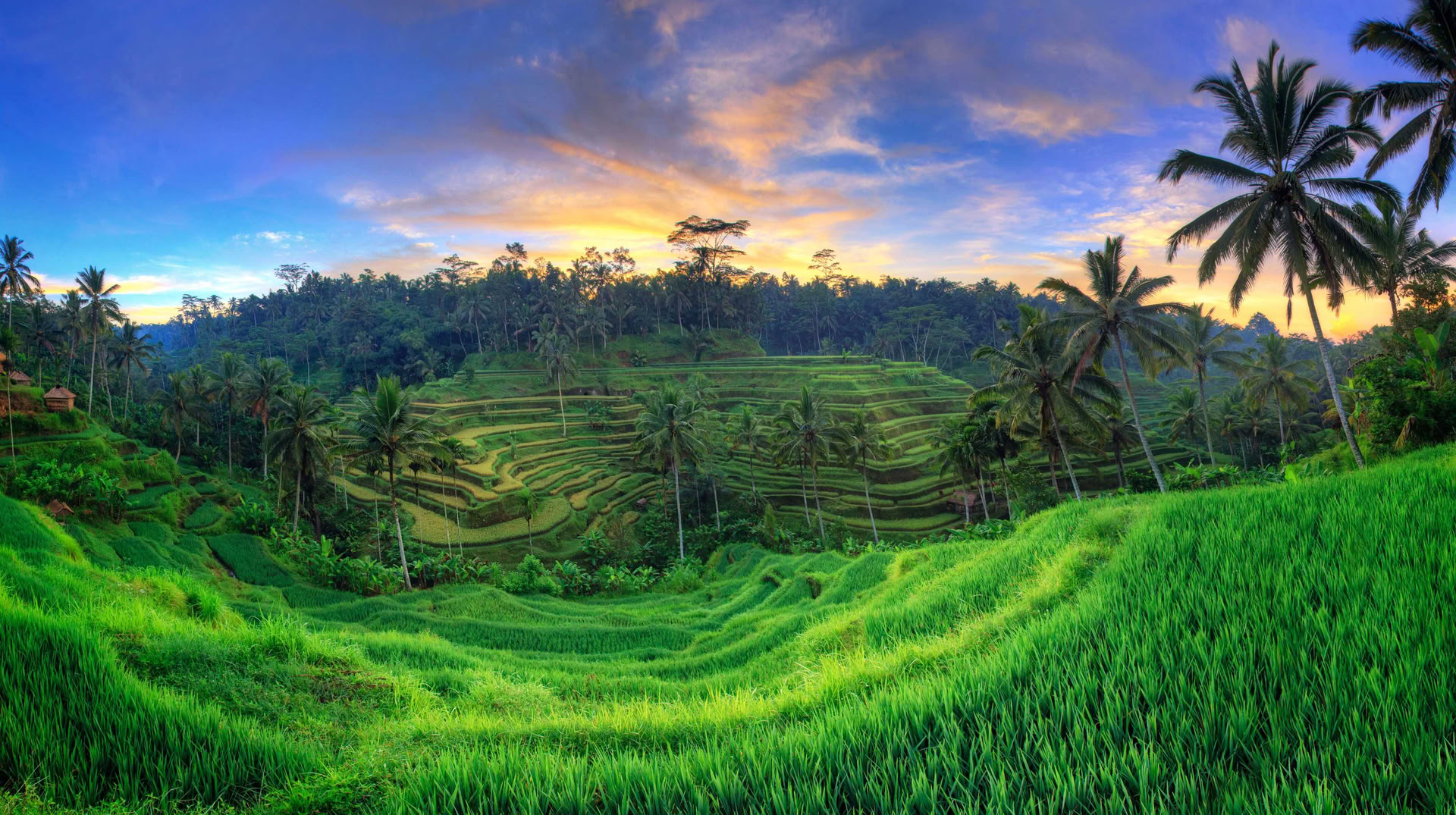 Unforgettable 7-Day Yoga Ritiro in Firefly Retreat Bali